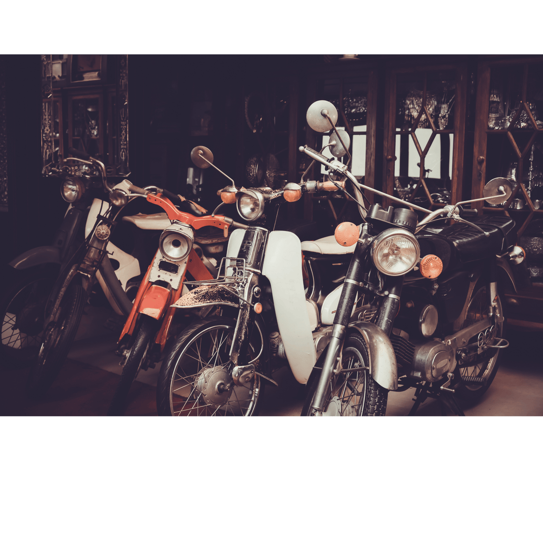 Roaring Through Time: The Evolution of Motorcycling - The Vandi Company