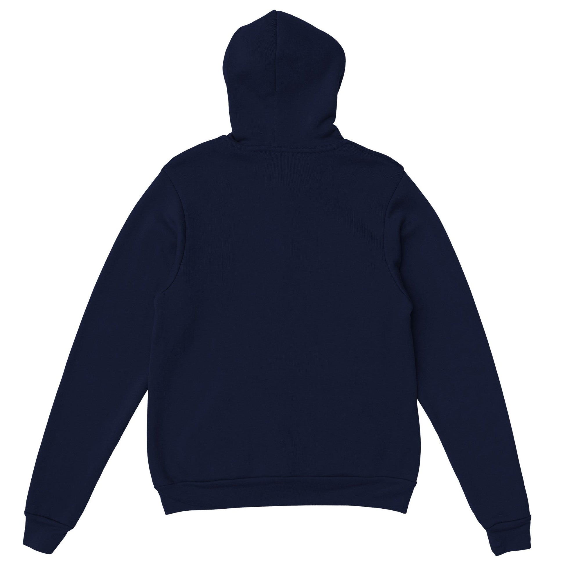 Premium Unisex Pullover Hoodie - One Down Five Up - The Vandi Company